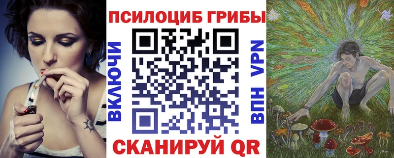 Галлюциногенные грибы мицелий  Купить закладки  Нолинск 