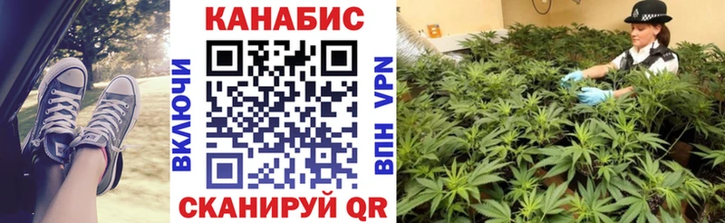Купить  Нолинск  Каннабис тримм 